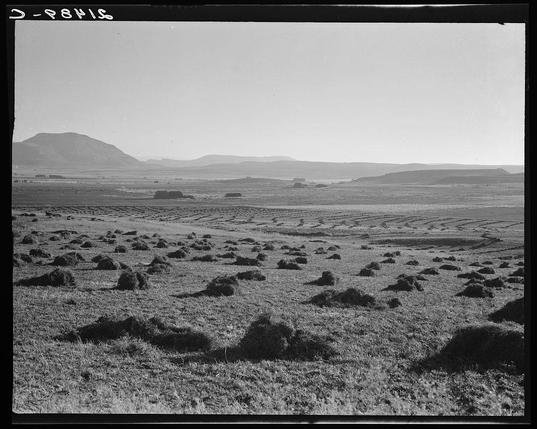This black and white photograph captures a vast expanse of rural Oregon, specifically Malheur County. The landscape is dominated by rolling hills in the background under an expansive sky with no visible clouds. In the foreground lies what appears to be farmland or pasture land dotted with hay bales scattered across uneven terrain covered in grasses. Some patches resemble tilled soil hinting at crop cultivation activity, possibly grain fields given their linear formations that suggest ploughed rows.

The image is marked "Dorothea Lange" and includes a date code "8-29/15", indicating the photograph was taken on August 29th of an unspecified year. Dorothea Lange (1895–1965) was known for her work as a documentary photographer, particularly during the Great Depression in America where she documented social issues such as poverty and displacement.

The absence of any human presence or man-made structures other than agricultural implements underscores the natural beauty but also suggests themes of solitude, hardship, resilience, and endurance. The image is part of a collection with more information available at View of Sunset Valley, Malheur County, Oregon. Hay and clover pasture land corn field grain fields some portions this valley have been under cultivation four or five years.

This photograph encapsulates the starkness yet serene beauty of rural America during a period whe [...]